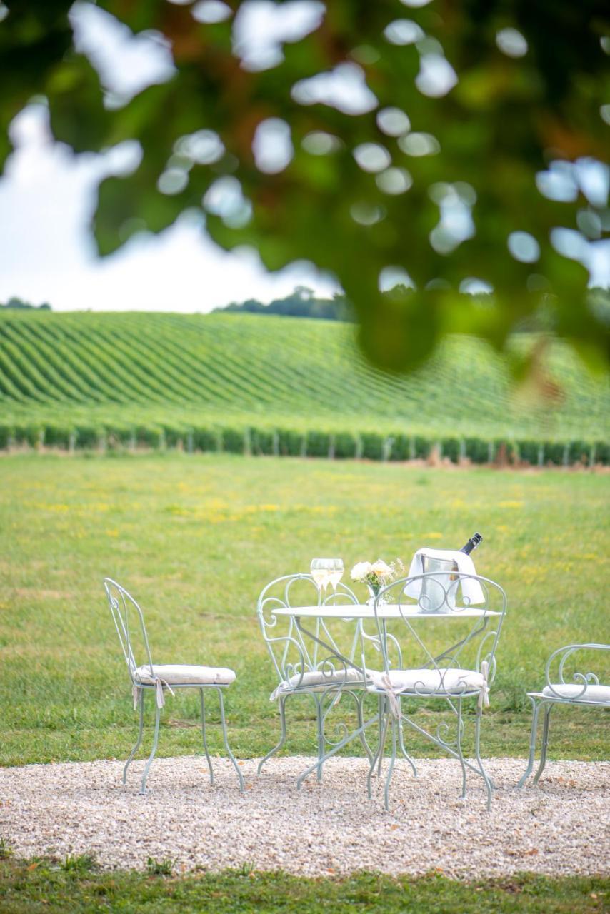L' Ecrin Des Vignes Bed & Breakfast Sermiers Exterior photo
