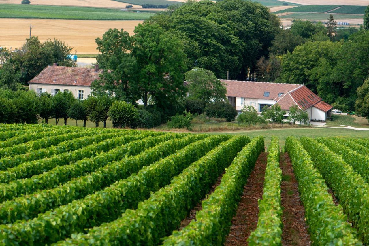 L' Ecrin Des Vignes Bed & Breakfast Sermiers Exterior photo